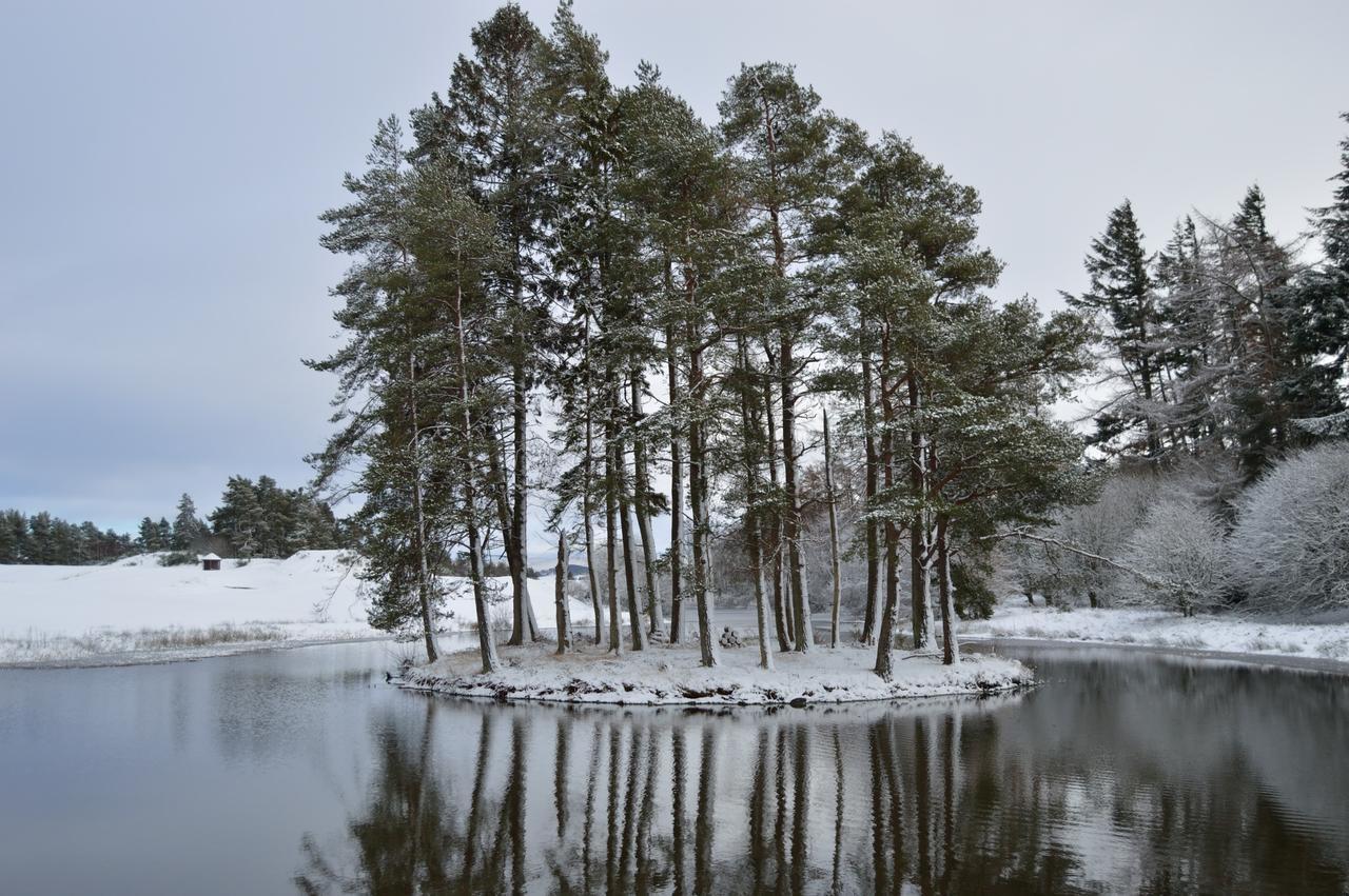 The Pines - Luxury 3-Bed Apartment Near Golf & Spa, Gleneagles, Auchterarder Buitenkant foto